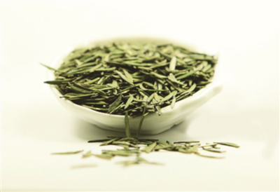 四川宜賓高縣 立足生態優勢，做強茶產業，譜寫鄉村振興新篇章